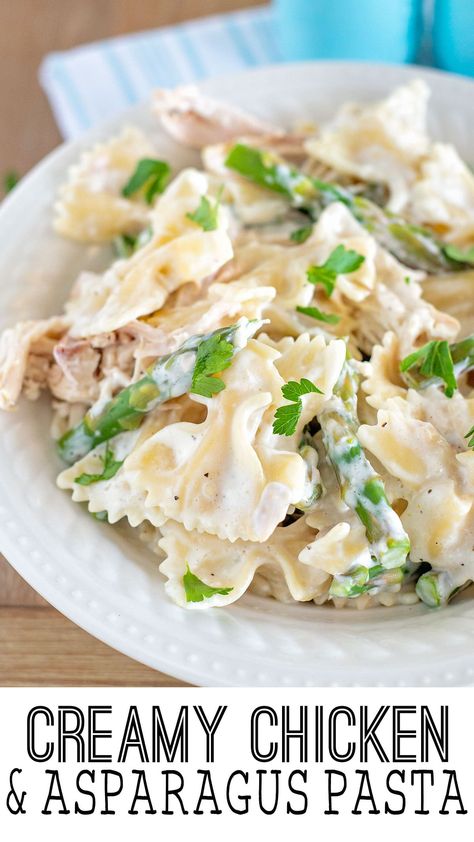 Creamy Chicken and Asparagus Pasta is a recipe everyone loves. Creamy, flavorful and filled with hearty ingredients like chicken, pasta, cream, and asparagus! Chicken And Asparagus Pasta, Creamy Chicken And Asparagus, Chicken Asparagus Pasta, Creamy Cajun Pasta, Chicken And Asparagus, Asparagus Casserole, Asparagus Pasta, Chicken Asparagus, Like Chicken