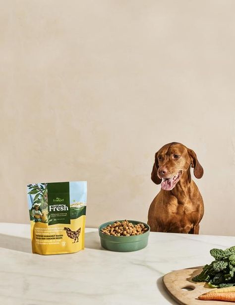 Mars Photoshoot, Pet Advertising, Fresh Recipe, Product Still Life, Pets Food, Animal Photoshoot, Dog Accesories, Line Images, Dog Model