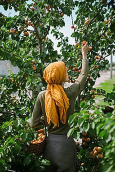 Farmcore Aesthetic, Orange Picking, Woman In Garden, Gardening Photography, Wow Photo, Orange Grove, Fruit Picking, Photography Beach, Gardening Outfit