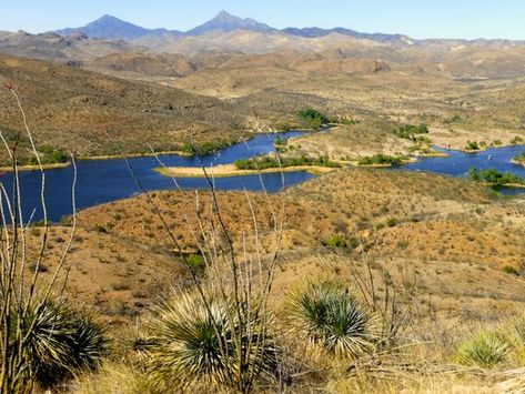 Patagonia Az, Patagonia Arizona, Mountain Travel, Arizona Travel, Rolling Hills, International Travel, State Park, Fun Things, You Really