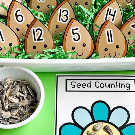 Seed Counting Preschool, The Tiny Seed Activities Preschool, Seed Activities For Preschool, Tiny Seed Activities, Seed Crafts For Kids, Seeds Preschool, Seed Activities, Preschool Classroom Setup, Spring Lesson Plans