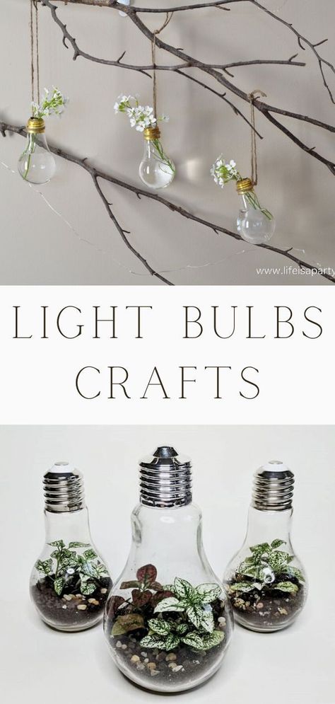 A fun craft idea is using old light bulbs to make decorations. These light bulbs crafts are so creative and beautiful. Try one of these light bulbs craft ideas for your home decor. You will fine hanging bulbs with flowers, terrarium light bulbs, twine wrapped bulbs, and many light bulb crafts. Each DIY is unique, Christmas, Shape, Repurposed, Ideas, Decorations, Lightbulbs, Planters, Hanging, Vase, Pears, Twine, Wreath Crafts With Light Bulbs, Lightbulb Planter, Christmas Light Bulb Crafts, Light Bulbs Crafts, Terrarium Light, Bulb Craft, Hanging Bulbs, Light Bulb Plant, Light Bulb Terrarium