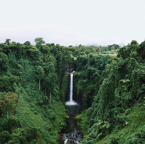 Rose Lalonde, Nassau, Indiana Jones, Samoa, Nature Aesthetic, Character Aesthetic, Pretty Places, Green Aesthetic, Green Plants