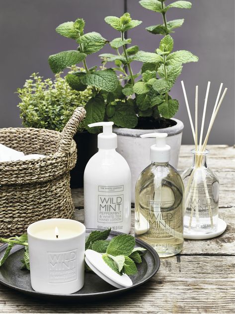 Company Aesthetic, Kitchen And Utility Room, Vase Filler Ideas, Kitchen And Utility, Patchwork Baby Blanket, Wild Mint, Spring Fragrances, Peppermint White, Foaming Hand Wash