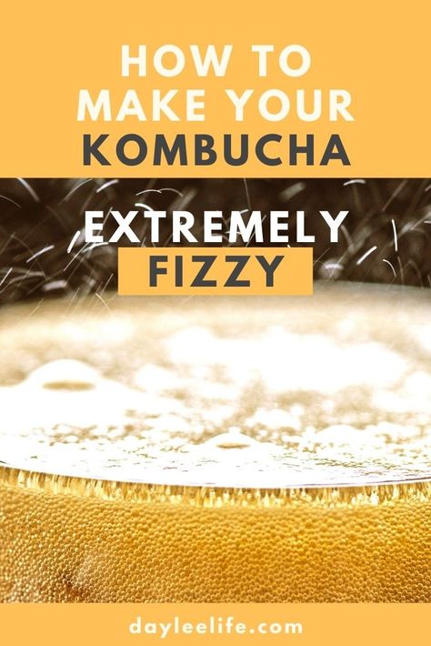 Kombucha Flavors Recipes, Diy Kombucha, Kombucha Flavors, Kombucha Scoby, How To Brew Kombucha, Homemade Kombucha, Kombucha Recipe, Homebrew Recipes, Probiotic Drinks