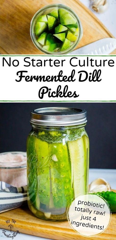 Fermented Dill Pickles, Fermented Vegetables Recipes, Fermented Recipes, Fermented Veggies, Fermented Pickles, Paleo For Beginners, Healthy Probiotics, Fermentation Recipes, Fermented Vegetables