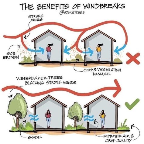 Passive House Design, Eco House Design, Landscape And Urbanism Architecture, Passive Design, Landscape And Urbanism, Passive House, Green Architecture, Earthship, Eco House