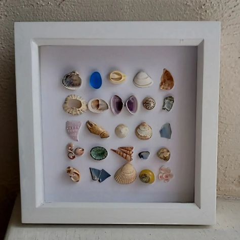 I never get tired of creating these tiny treasure pieces. I love finding different coloured shells, sea glass and even the odd crab claw! I especially look out for broken shells - they often have the most amazing shapes. #shellart #shellartist #coastalhomedecor #coastalartist #etsysellersofig #prettyart #seasideaesthetics #seasideart #beachartwork #beachfinds Crab Claw, Seaside Art, Crab Claws, Beach Artwork, Tiny Treasures, Shell Art, Bedroom Inspo, Pretty Art, Sea Glass