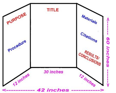 science display boards | ... wp-content/themes/aspire/assets/colors/science-display-board-template 3 Sided Display Board Ideas, Triboard Ideas, Science Project Boards Display, Science Board, Science Fair Display Board, Science Project Board, Display Board Design, Science Fair Board, Presentation Ideas For School