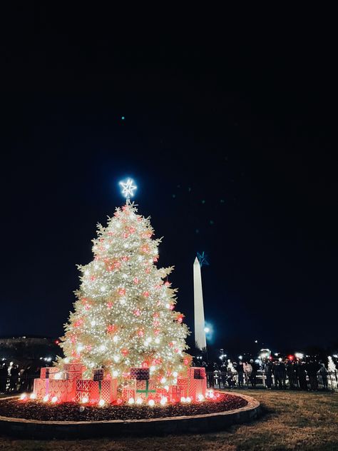 Dc In December, Christmas In Dc, Washington Dc Aesthetic, Washington Dc Christmas, Dc Aesthetic, Travel Cities, National Christmas Tree, Bellingham Washington, Winter City