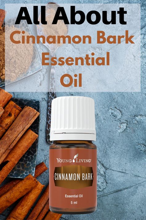 Cinnamon Bark Essential Oil has a spicy and festive scent. Learn more about Cinnamon Bark and how I use it. #CinnamonBarkEssentialOil #essentialoiluses #essentialoilbenefits | EOGuys.com Cinnamon Bark Benefits, Cinnamon Bark Essential Oil Benefits, Uses For Cinnamon Bark Essential Oil, Cinnamon Uses, Cassia Essential Oil, Homemade Lotion Bars, Cinnamon Bark Essential Oil, Essential Oils For Massage, Cinnamon Oil