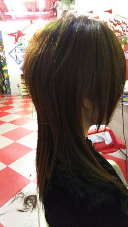 Vkei Haircut Long, Vkei Mullet, Jellyfish Haircut Long, Vkei Haircut, Vkei Hair, Jellyfish Hair, Jellyfish Haircut, Scene Haircuts, Japanese Haircut