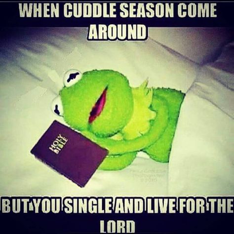 Hermit The Frog Funny, Mood Calendar, Funny Kermit Memes, Cuddle Season, Sapo Kermit, Kermit Memes, Church Humor, Church Memes, Kermit Funny