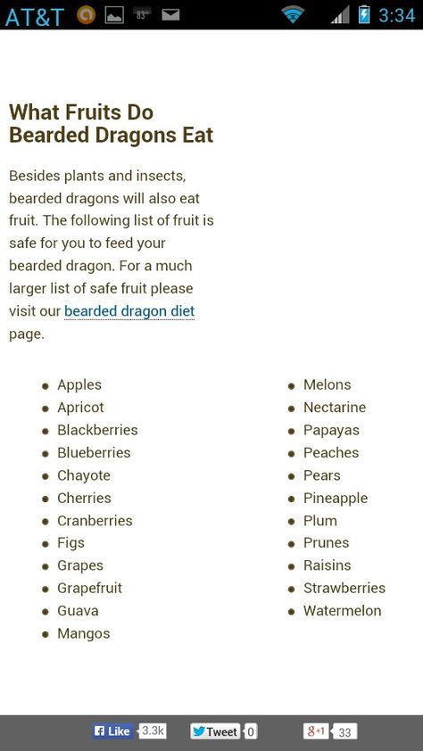 Bearded Dragon Weight Chart, Bearded Dragon Diet, Bearded Dragon Care, Weight Chart, Fruit List, Weight Charts, Dragon Stuff, Eat Fruit, Bearded Dragon