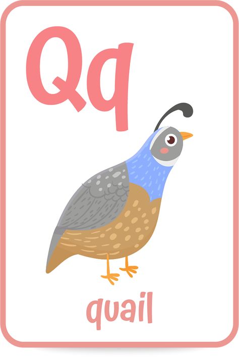 Words That Start with the Letter Q Words With Q, Kindergarten Readiness Checklist, Preschool Workbooks, Forest Sounds, Letter N Words, Letter Q, Book Discussion, Preschool Letters, Alphabet Cards