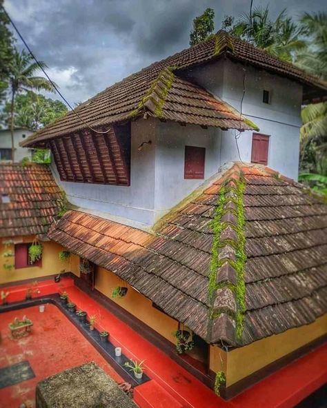 Plant Architecture, Kerala Traditional House, Kerala Architecture, Green Corner, Indian Home Design, Kerala House Design, Kerala Houses, Traditional Houses, Gardening Flowers