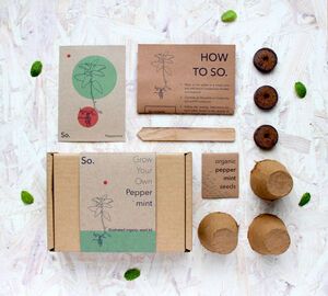 Bubble Tea Making Kit By Sandy Leaf Farm | notonthehighstreet.com Gardening Kit Gift, Rustic Gift Wrapping, Kit Packaging, Peppermint Plants, Seed Kit, Culinary Herbs, Grow Kit, Peppermint Tea, Plant Markers