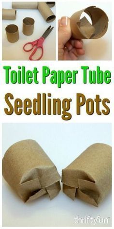 Plantarea Legumelor, Toilet Paper Tubes, Plants Diy, Seedling Pots, Paper Pot, Toilet Paper Tube, نباتات منزلية, Garden Types, Veg Garden