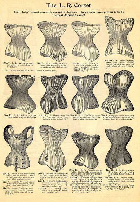 corset catalog vintage image Types Of Corsets, Cage Crinoline, Vintage Corsets, Corset Shop, Pin Up Vintage, Corsets Vintage, Victorian Corset, The Graphics Fairy, Corset Pattern