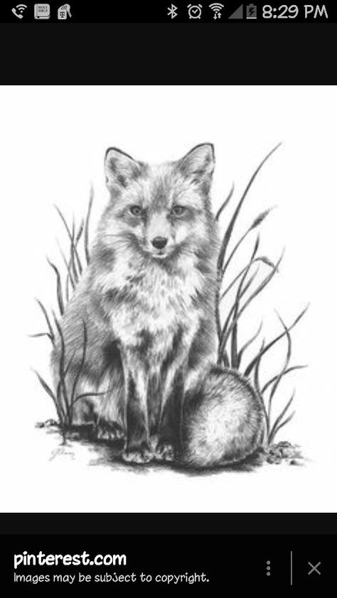 Fox Fox Sketch, Fox Tattoo Design, Fox Artwork, Pencil Drawings Of Animals, Fox Drawing, Fox Tattoo, 3d Drawings, Fox Art, Animal Sketches