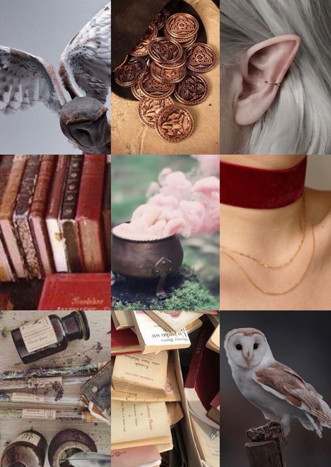 Eda Edalyn Clawthorne the Owl Lady owl house aesthetic mood board Edalyn Clawthorne Aesthetic, Eda Clawthorne Aesthetic, Eda The Owl Lady Aesthetic, The Owl House Moodboard, Aesthetic Owl House Wallpaper, Owl House Eda Owl Beast, Eda Owl Beast, The Owl House Aesthetic, Toh Eda