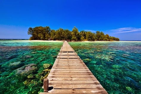 Masih seputar daerah wisata di Indonesia yang harus Anda kunjungi, Karimun Jawa masuk dalam daftar list tempat terindah yang harus Kamu nikmati di saat liburan tiba. Kawasan ini berada di Jawa Tengah yang aksesnya cukup mudah untuk di jangkau walaupun kamu harus menyeberang melewati lautan. Namun tenang saja, semua rasa lelah setelah bekerja keras dan […] The post Visit Jawa Tengah, Karimun Jawa, Semarang appeared first on Doyan Jalan. Karimun Java, Data Entry Job, Karimun Jawa, It Was All A Dream, Java Island, Raja Ampat, Central Java, Island Hopping, Data Entry