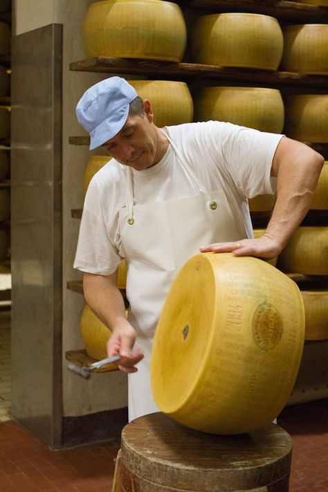 Parma Italy, Cheese Factory, Italian Cheese, Italy Food, The Producers, Food Stories, Homemade Cheese, Daily Recipes, Parmigiano Reggiano