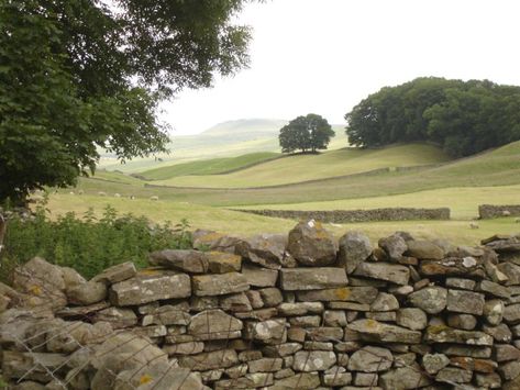 Wales Countryside, Yorkshire Dales Aesthetic, Yorkshire Dales Photography, Rural England, Devon England English Countryside, Yorkshire Dales Landscape, Genius Loci, Ireland Landscape, Dry Stone Wall