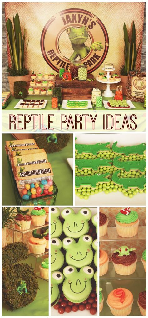 What fun desserts at this reptile boy birthday party! See more party ideas at CatchMyParty.com. Reptile Party Ideas, 50th Birthday Party Themes, Alligator Birthday, Snake Party, Reptile Party, 5th Birthday Party, Boys Night, 50 Birthday, Party Themes For Boys