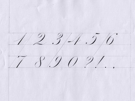 My number exemplar . Workshop in Singapore, Sep 15-18. Link in profile. . #huyhoangdao #calligraphy #penmanship #handwriting #lettering #typography #flourishing #birdflourishing #copperplate... How To Write Numbers Fancy, Copperplate Numbers, Numbers Calligraphy, Calligraphy Numbers Fonts, Calligraphy Numbers, Number Font, French Roundhand Calligraphy, Calligraphy Capital Letter, Formal Calligraphy Alphabet