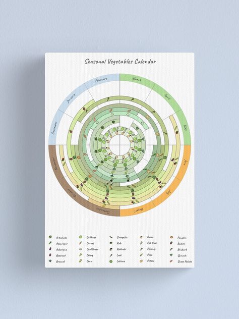 "seasonal vegetable calendar" Canvas Print by leancircuit | Redbubble Vegetable Calendar, Meal Calendar, Season Calendar, Calendar March, Seasons Activities, Garden Calendar, Vegetable Seasoning, Annual Report, Cotton Tote Bags