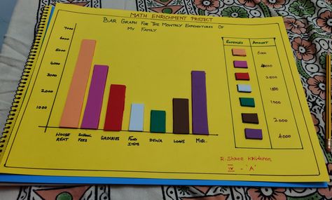 Bar graph for monthly expenditures of my family Creative Bar Graph Design, Bar Chart Ideas, Bar Graph Design, Bar Graphs Activities, Math Decorations, Maths Model, Maths Project, Math Models, School Science Projects