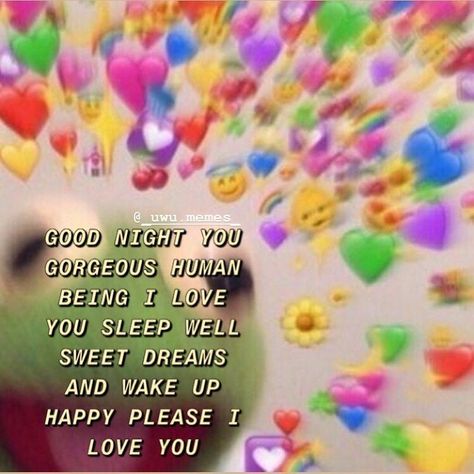 Goodnight Wholesome, Cute Messages For Her, Good Night Meme, Gf Memes, Good Night I Love You, Cheer Up Quotes, Wholesome Pictures, Love You Cute, Cute Love Memes