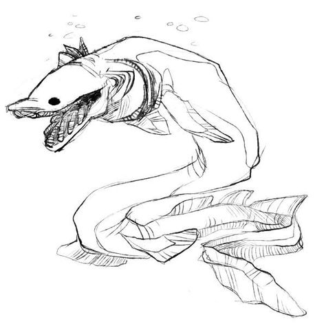 Frilled Shark Art, Fruit Shark Drawing, Frilled Shark Drawing, Thrasher Shark Drawing, Cool Shark Drawings, Goblin Shark Drawing, Shark Drawing Reference, Shark Creature, Shark Drawing Sketches