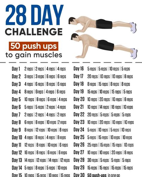 28 day challenge 50 push ups to gain muscles Check more at https://testa.my.id/?p=15901 Muscle Gain Workout, 50 Push Ups, 28 Day Challenge, Workout Routine For Men, Abs Workout Gym, Push Up Challenge, 30 Minute Workout, Plank Workout, Ab Workout At Home