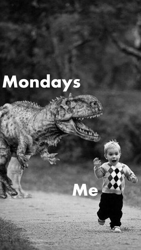 Mondays chasing me Monday Sucks, Monday Memes, Weekday Quotes, Monday Humor, Morning Quotes Funny, Slaap Lekker, Monday Quotes, Morning Humor, Work Memes