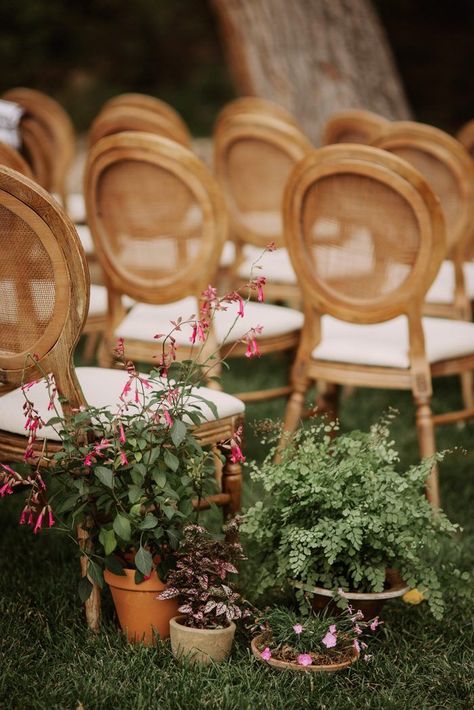 Backyard Wedding Aisle, Wedding Aisle Floral, Italian Flowers, June Photography, Ideas For Backyard, Wedding Plants, Aisle Markers, Backyard Weddings, Wedding Backyard