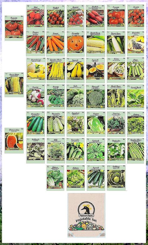 Set of 43 Assorted Vegetable & Herb Seeds - 43 Varieties - Includes Freedom Farms Vegetable Set Bag! - Create a Deluxe Garden All Seeds are Heirloom - 100% Non-GMO by Black Duck Brand Seed Vault, Heirloom Tomato Seeds, Black Duck, Bush Beans, Survival Gardening, Seed Pack, Heirloom Vegetables, Organic Tomatoes, Fruit Seeds