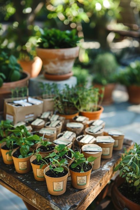 Delight your guests and Mother Earth with our sustainable wedding favor ideas. 🌱✨ Gift the joy of growth with seed packets in earth-friendly containers. Adorn your tables with lush potted herbs for a touch of greenery that lasts. 🌿🎁 #EcoFriendly #SustainableLiving #WeddingFavors #GreenWeddings #PlantableGifts #GardenLove #HerbGardening #EcoChic Sustainable Wedding Favors, Green Wedding Favors, Potted Herbs, Wedding Favor Ideas, Edible Wedding Favors, Sustainable Wedding, Herb Pots, Favor Ideas, Eco Chic