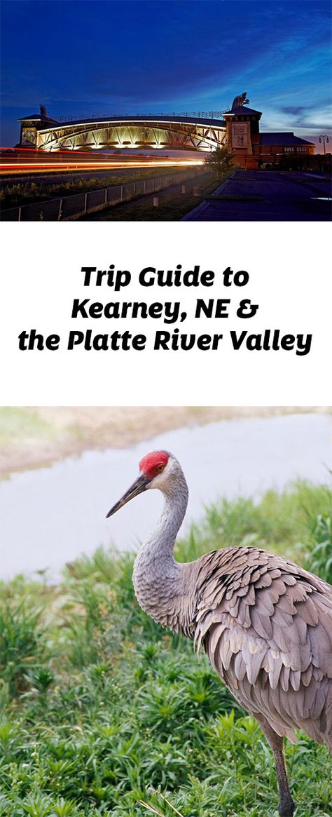 Destinations like Kearney, Grand Island and North Platte draw visitors with historical and recreational attractions. Trip guide: http://www.midwestliving.com/travel/nebraska/kearney/trip-guide-to-kearney-and-the-platte-river-valley/ Nebraska Scenery, Nebraska Travel, Travel Nebraska, Grand Island Nebraska, Kearney Nebraska, Monument Colorado, Colorado Trip, Road Trip Map, Homeschool Geography