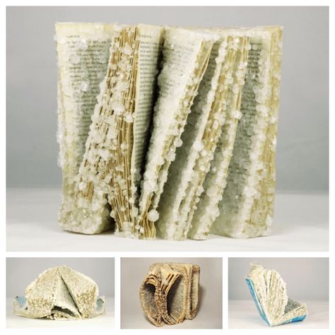 "Crystallized Books" #bookart by Alexis Arnold - old copies of books are frozen with heavy crystal growth.  💬 The crystals remove the text and solidify the books into aesthetic, non-functional objects Crystalised Book, How To Crystallize A Book, Borax Crystal Book Diy, Crystallized Book Diy, How To Crystallize Books, Crystal Book Diy, Borax Crystal Book, How To Crystalize A Book, Crystallized Books