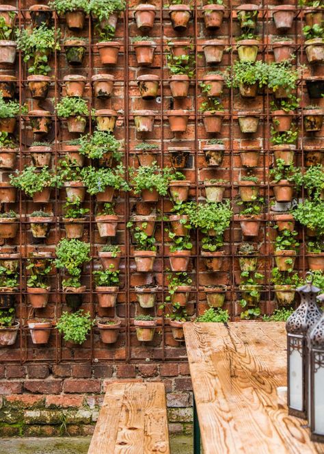 Garden Ideas To Make, Vertical Garden Design, Herb Garden Design, Vertical Garden Wall, Vertical Herb Garden, Vertical Garden Diy, Vertical Gardens, Walled Garden, Have Inspiration