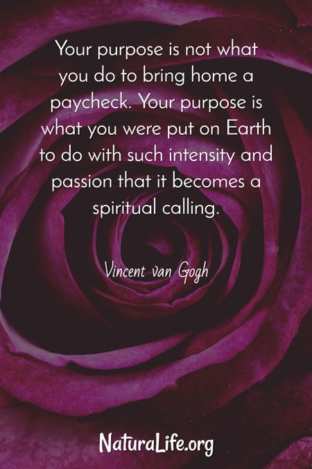 your purpose is not what you do to bring home a paycheck. Your purpose is what you were put on Earth to do with such intensity and passion that it becomes a spiritual calling. Inspirational quote by Vincent Van Gogh What Do You Do For A Living, Passion For Life Quotes Inspiration, Your Passion Quotes, Spiritual Life Quotes, Doing What You Love, Spiritual Purpose Quotes, Life On Purpose Quotes, Your Purpose, Purpose Of Life Quotes