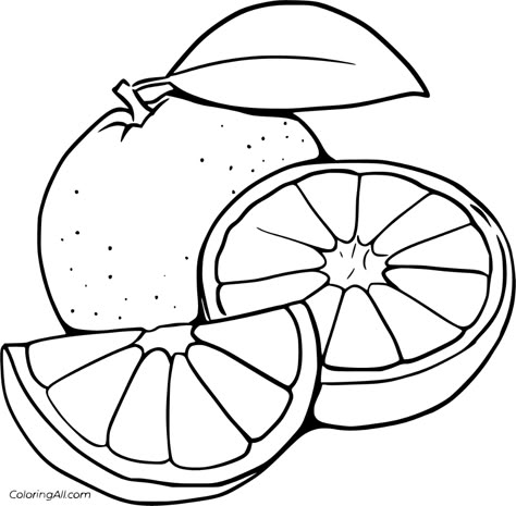 13 free printable Orange coloring pages in vector format, easy to print from any device and automatically fit any paper size. Lemon Images, Fruit Coloring Pages, Preschool Coloring Pages, Embroidery Template, Easy Coloring Pages, Felt Patterns, Aperol Spritz, Hand Embroidery Patterns, Book Page