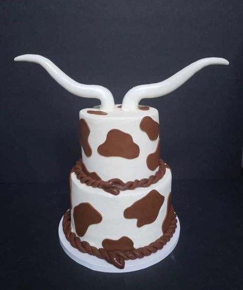 Long Horn Cow Cake, Brown Cow Print Cake, Brown Cow Cake, Cow Birthday Cakes, Cattle Cake, Cow Print Cakes, Country Cakes, Cow Birthday Cake, Nguni Cows