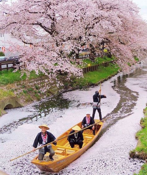 Traveling Accessories, Traveler Backpack, Japan Travel Destinations, Cherry Blossom Japan, Single Travel, Japan Destinations, Accessories Outfit, Poland Travel, Couple Travel