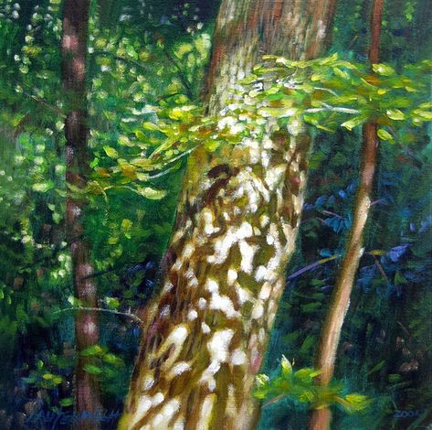 Sun and Shadow Patterns 119-2005 - Paintings by John Lautermilch Dappled Sunlight Painting, Dappled Light Reference, Sunlight Through Trees Painting, Madeleine Core, Painterly Paintings, Sun And Shadow, Shadow Tree, Big Painting, Dappled Sunlight