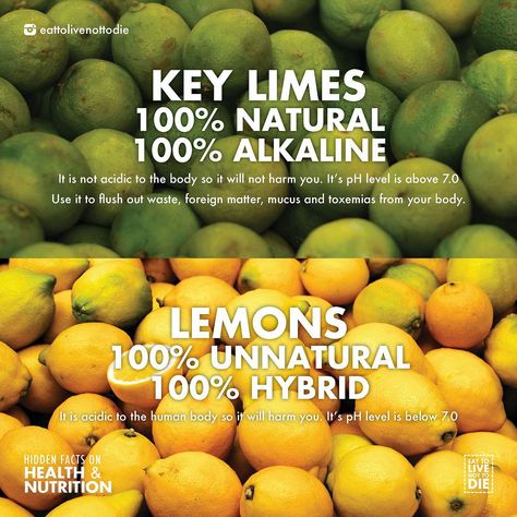 eattolivenottodie #healthvswealthquotes Key Lime Benefits, Lime Benefits, Alkaline Herbs, Dr Sebi Alkaline, Dr Sebi Alkaline Food, Lemons And Limes, Dr Sebi, Alkaline Diet, Alkaline Foods