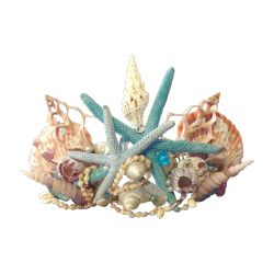 Sea Princess, Mermaid Seashell, Seashell Crown, Shell Crowns, Art Coquillage, Mermaid Crafts, Mermaid Crown, Mermaid Life, Mermaid Tails