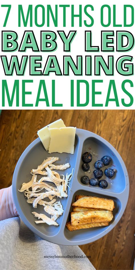 7 Month Old Baby Led Weaning Meal Ideas Baby Led Weaning Lunch Ideas 7 Months, Blw Lunch Ideas 7 Month Old, Meal Plan For 8 Month Old Baby, Meal Ideas For 7 Month Old, 7 Month Blw Meals, 8 Month Meal Ideas, 7 Month Old Blw Ideas, 6 Month Dinner Ideas, 7 Month Meal Ideas